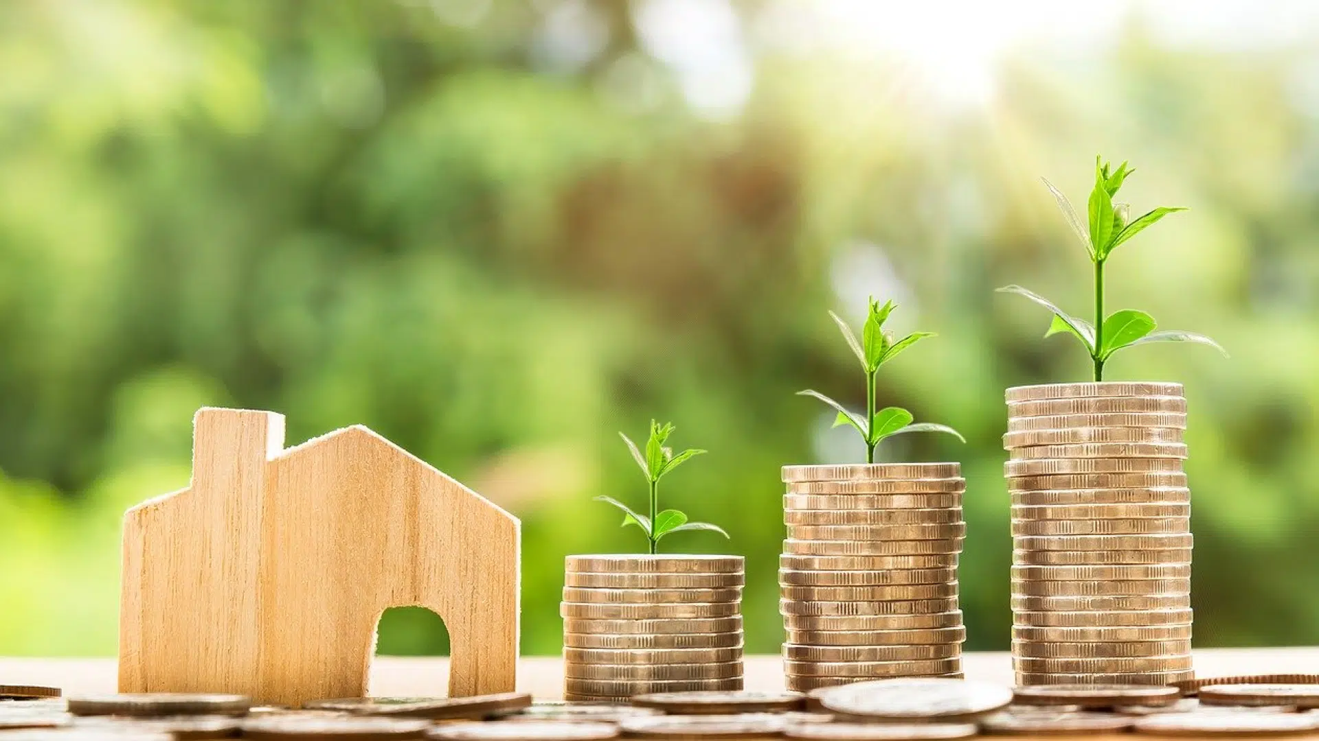 Quel type d'investissement faire dans l'immobilier ?